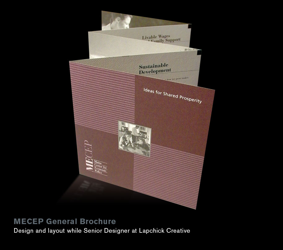 MECEP brochure